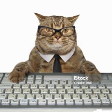 Enhancing Your Online Experience: Meowsold Software  September Updates